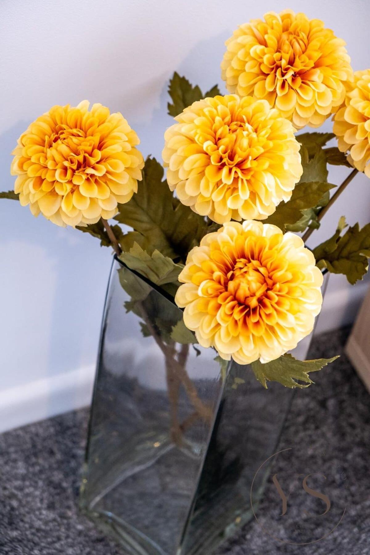 Stylish 3Br Home - Beautiful Garden - Parking West Bromwich Buitenkant foto
